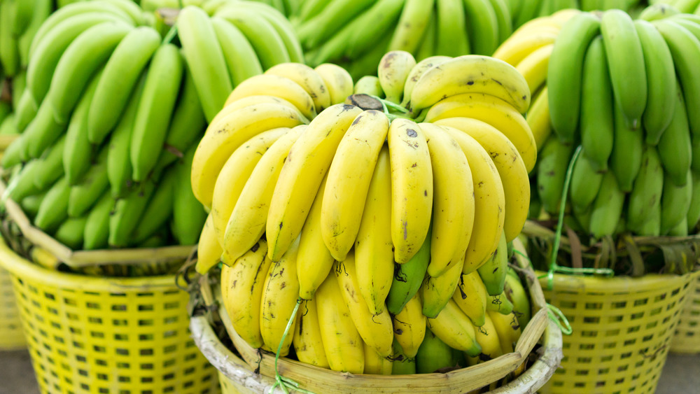 Yellow and green bananas