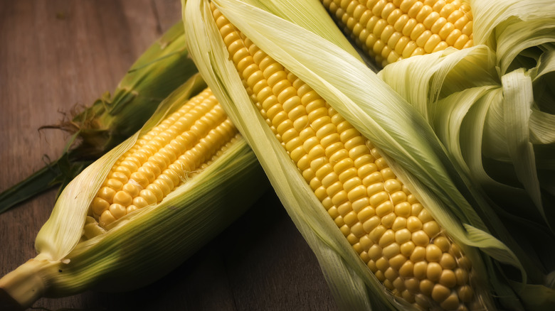 corn on the cob partially shucked