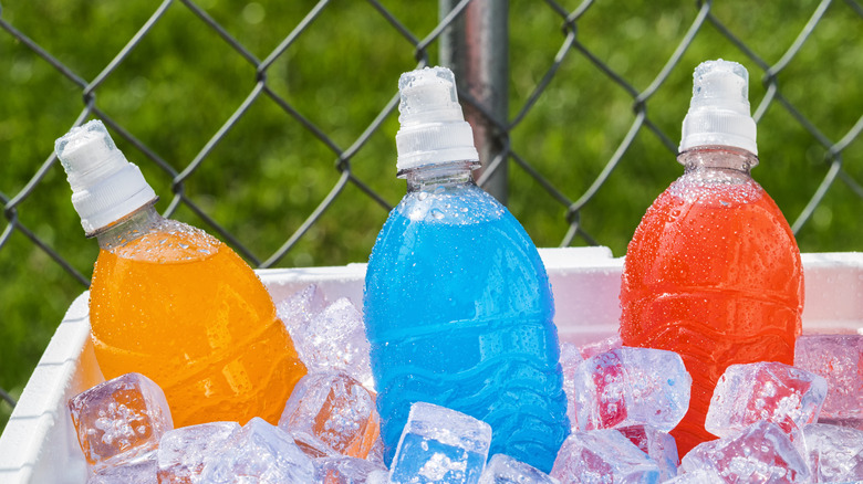 Three sports drink bottles in a cooler