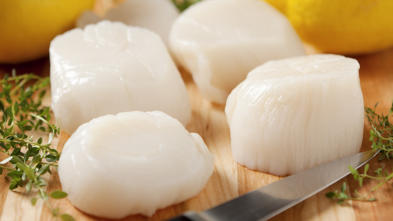 jumbo sea scallops