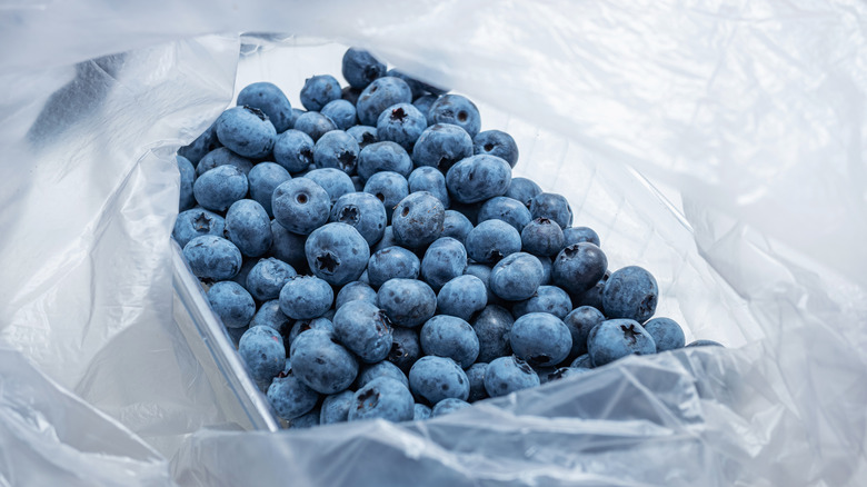 Blueberries in a plastic bag