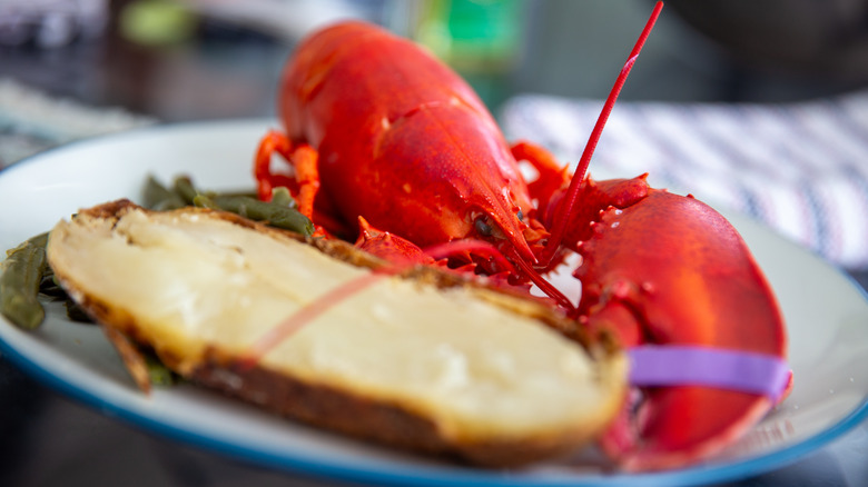 Lobster on a plate 