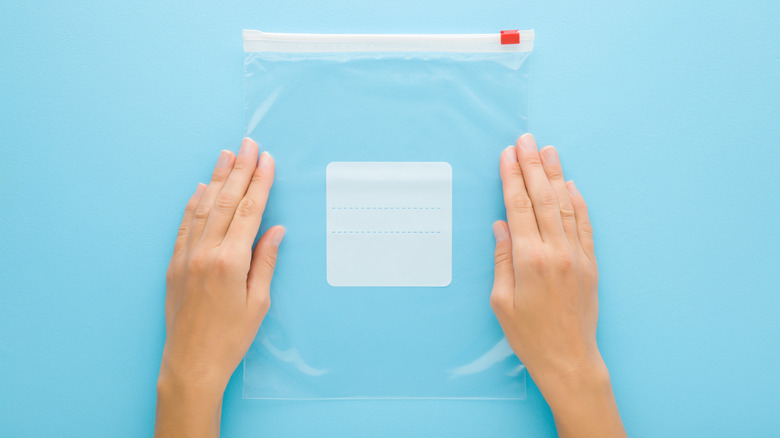 hands holding plastic sandwich bag