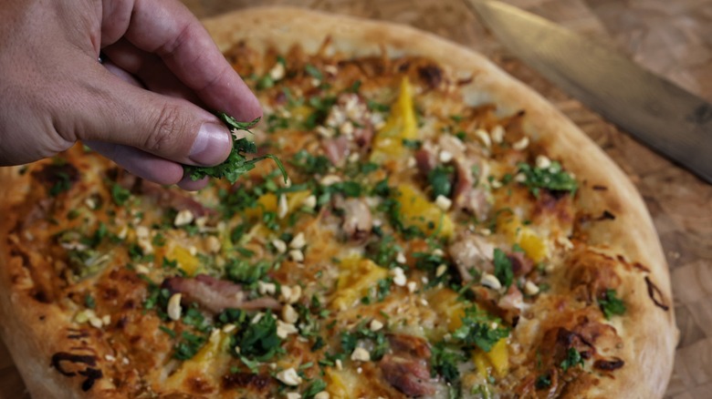 sprinkling cilantro on thai chicken pizza