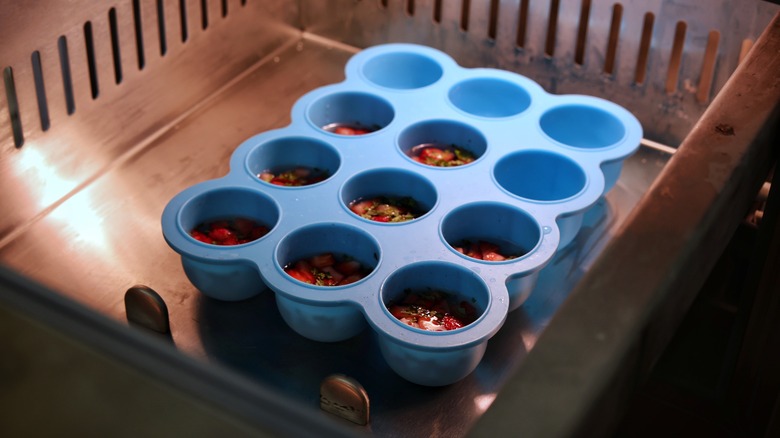 ice tray in freezer